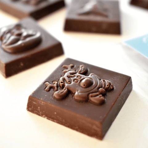 Mini Chocolates 47% de Cacau de Leite Coco BIO 28g Fidu